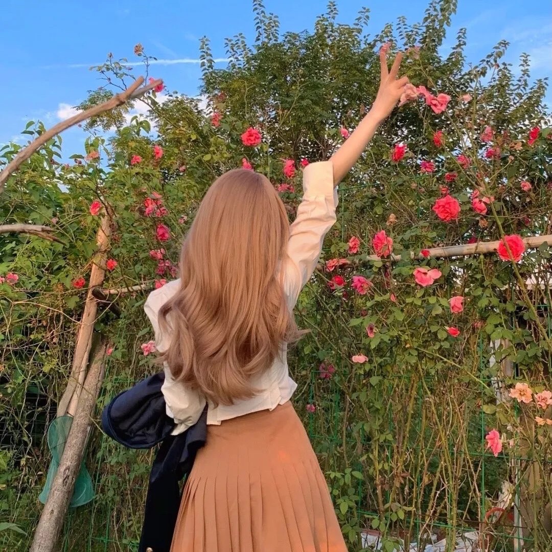 楚留香新传之鹦鹉传奇