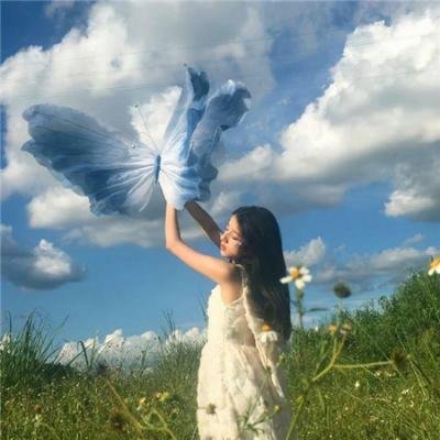 绝世天王女总裁的天王老公